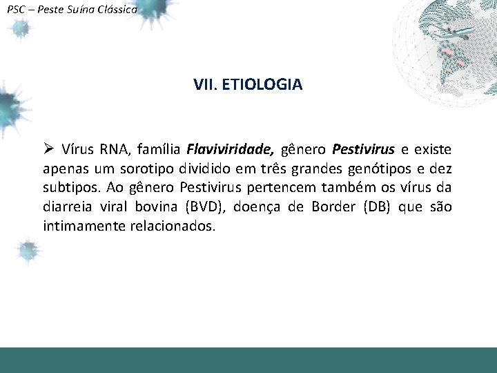 PSC – Peste Suína Clássica VII. ETIOLOGIA Ø Vírus RNA, família Flaviviridade, gênero Pestivirus