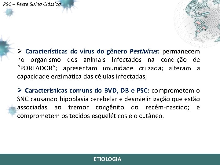 PSC – Peste Suína Clássica Ø Características do vírus do gênero Pestivírus: permanecem no