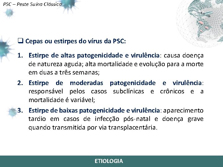PSC – Peste Suína Clássica q Cepas ou estirpes do vírus da PSC: 1.