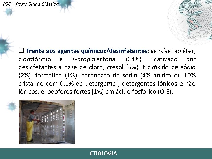 PSC – Peste Suína Clássica q Frente aos agentes químicos/desinfetantes: sensível ao éter, clorofórmio