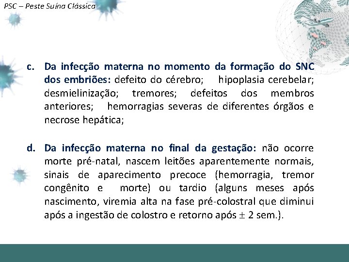 PSC – Peste Suína Clássica c. Da infecção materna no momento da formação do