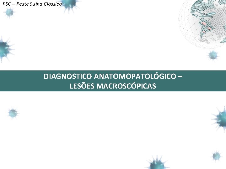 PSC – Peste Suína Clássica DIAGNOSTICO ANATOMOPATOLÓGICO – HEMORRAGIA CUT NEA LESÕES MACROSCÓPICAS 