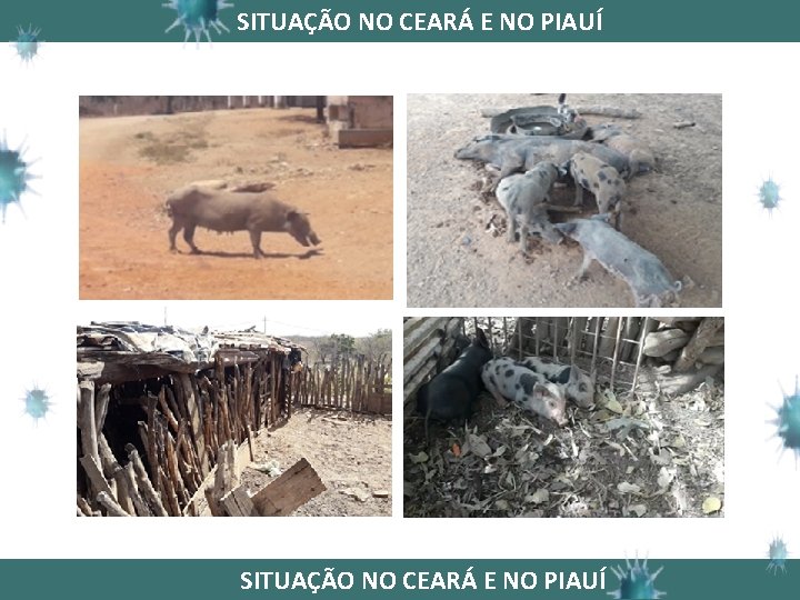 SITUAÇÃO NO CEARÁ E NO PIAUÍ 