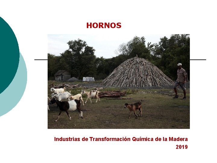 HORNOS Industrias de Transformación Química de la Madera 2019 