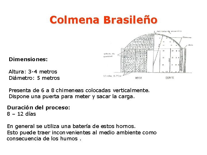 Colmena Brasileño Dimensiones: Altura: 3 -4 metros Diámetro: 5 metros Presenta de 6 a