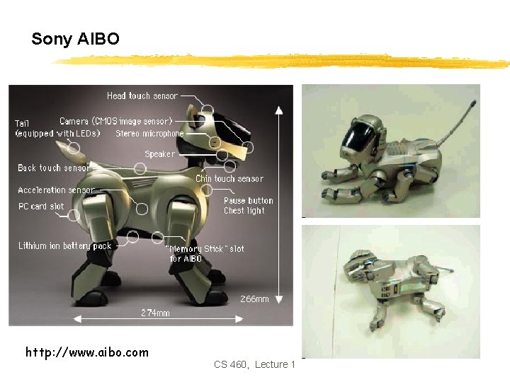 Sony AIBO http: //www. aibo. com CS 460, Lecture 1 Sony AIBO http: //www. aibo. com CS 460, Lecture 1