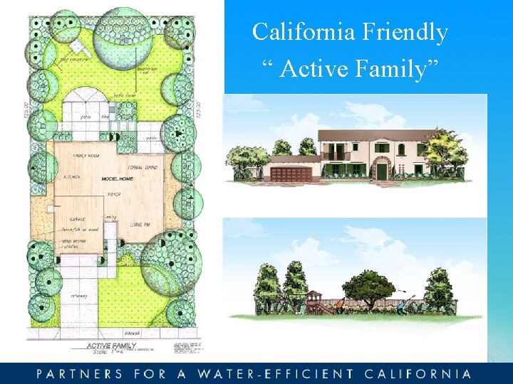 California Friendly “ Active Family” 