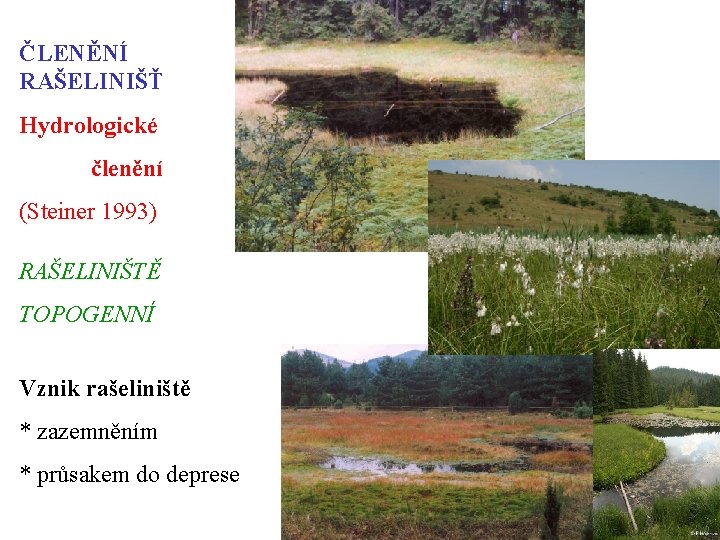ČLENĚNÍ RAŠELINIŠŤ Hydrologické členění (Steiner 1993) RAŠELINIŠTĚ TOPOGENNÍ Vznik rašeliniště * zazemněním * průsakem