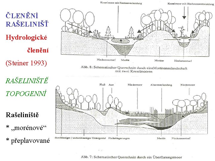 ČLENĚNÍ RAŠELINIŠŤ Hydrologické členění (Steiner 1993) RAŠELINIŠTĚ TOPOGENNÍ Rašeliniště * „morénové“ * přeplavované 