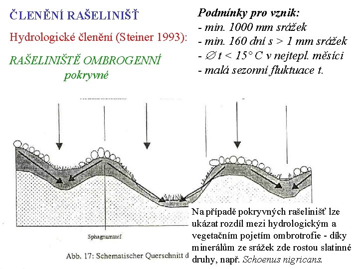 Podmínky pro vznik: - min. 1000 mm srážek Hydrologické členění (Steiner 1993): - min.