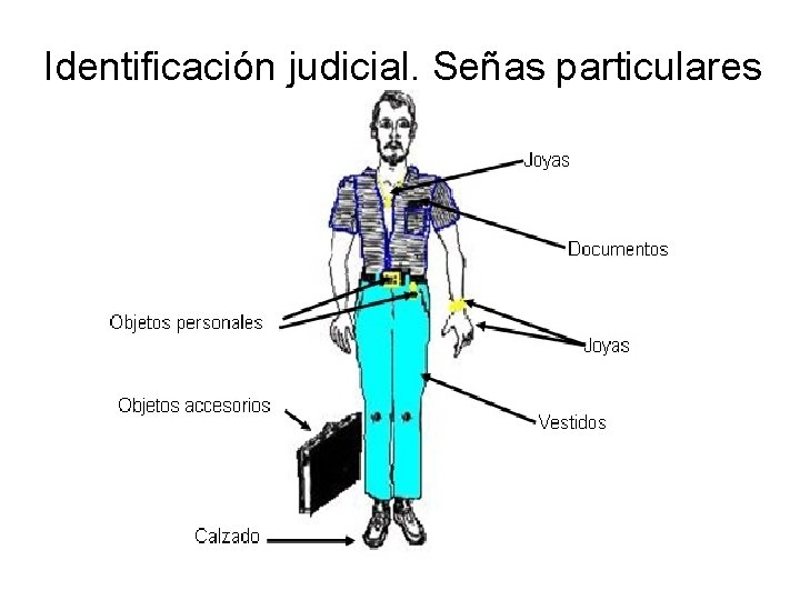 Identificación judicial. Señas particulares 