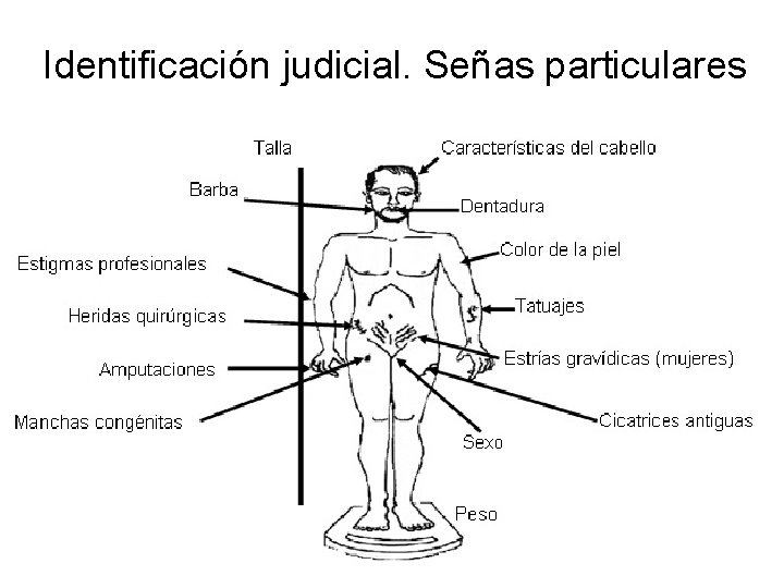 Identificación judicial. Señas particulares 