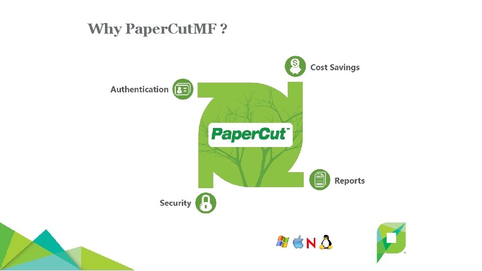 Why Paper. Cut. MF ? Why Paper. Cut. MF ?