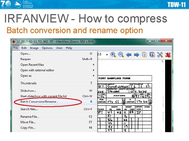 IRFANVIEW - How to compress Batch conversion and rename option 