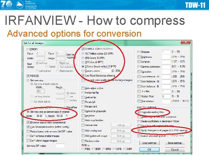 IRFANVIEW - How to compress Advanced options for conversion 