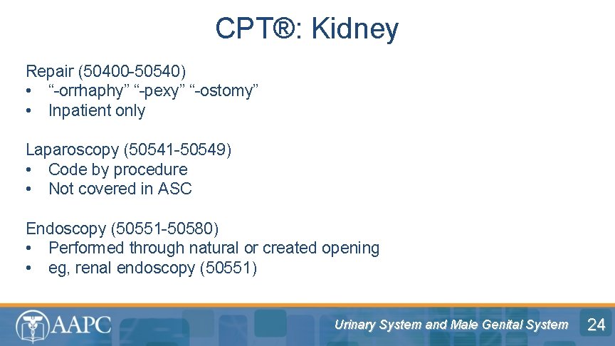 CPT®: Kidney Repair (50400 -50540) • “-orrhaphy” “-pexy” “-ostomy” • Inpatient only Laparoscopy (50541