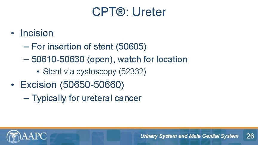 CPT®: Ureter • Incision – For insertion of stent (50605) – 50610 -50630 (open),