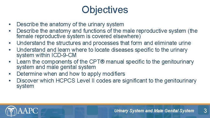 Objectives • • Describe the anatomy of the urinary system Describe the anatomy and