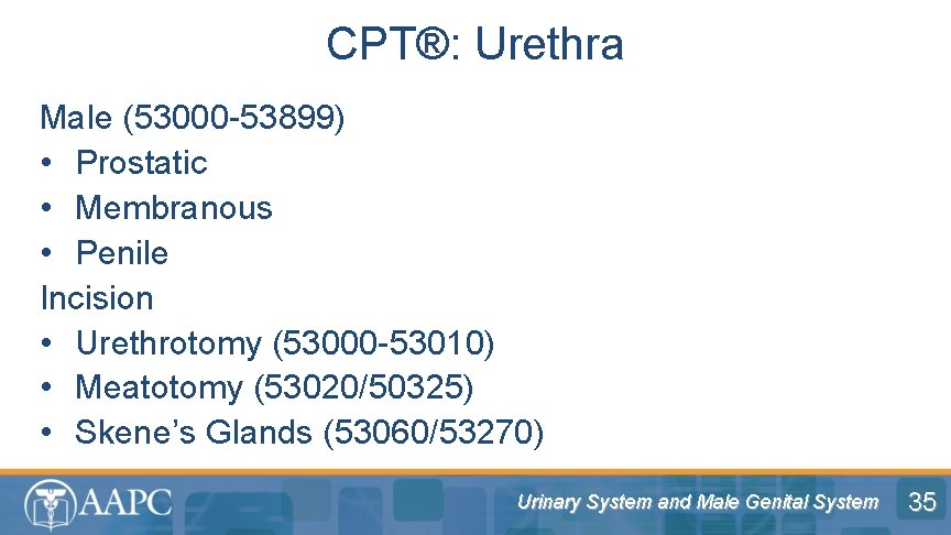 CPT®: Urethra Male (53000 -53899) • Prostatic • Membranous • Penile Incision • Urethrotomy