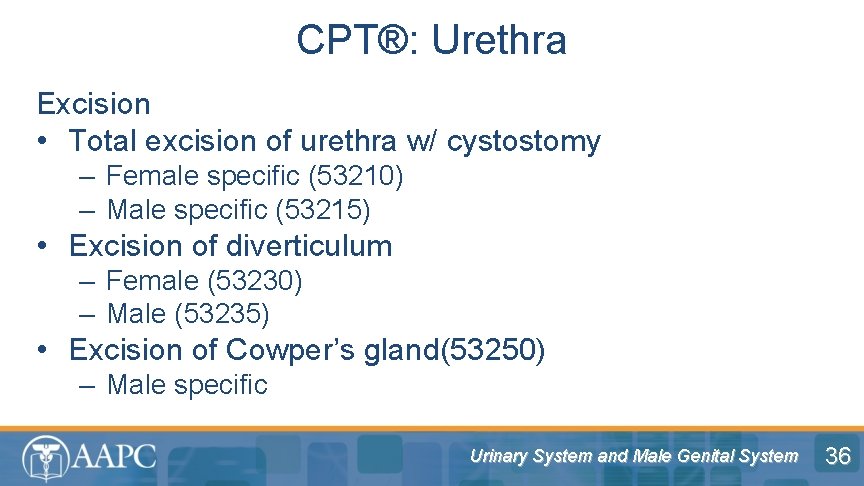 CPT®: Urethra Excision • Total excision of urethra w/ cystostomy – Female specific (53210)