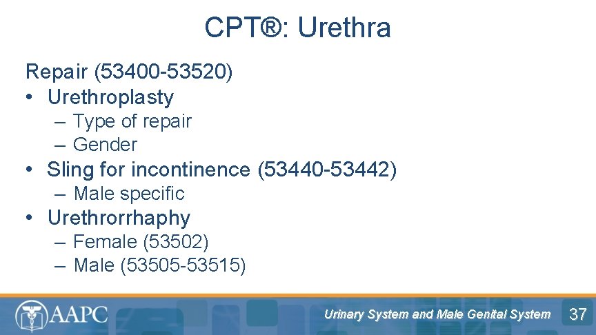 CPT®: Urethra Repair (53400 -53520) • Urethroplasty – Type of repair – Gender •