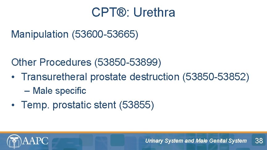 CPT®: Urethra Manipulation (53600 -53665) Other Procedures (53850 -53899) • Transuretheral prostate destruction (53850