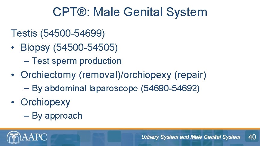 CPT®: Male Genital System Testis (54500 -54699) • Biopsy (54500 -54505) – Test sperm