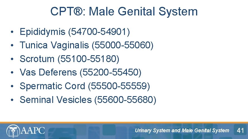 CPT®: Male Genital System • • • Epididymis (54700 -54901) Tunica Vaginalis (55000 -55060)