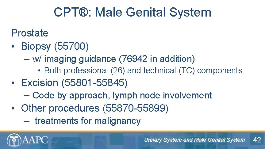 CPT®: Male Genital System Prostate • Biopsy (55700) – w/ imaging guidance (76942 in