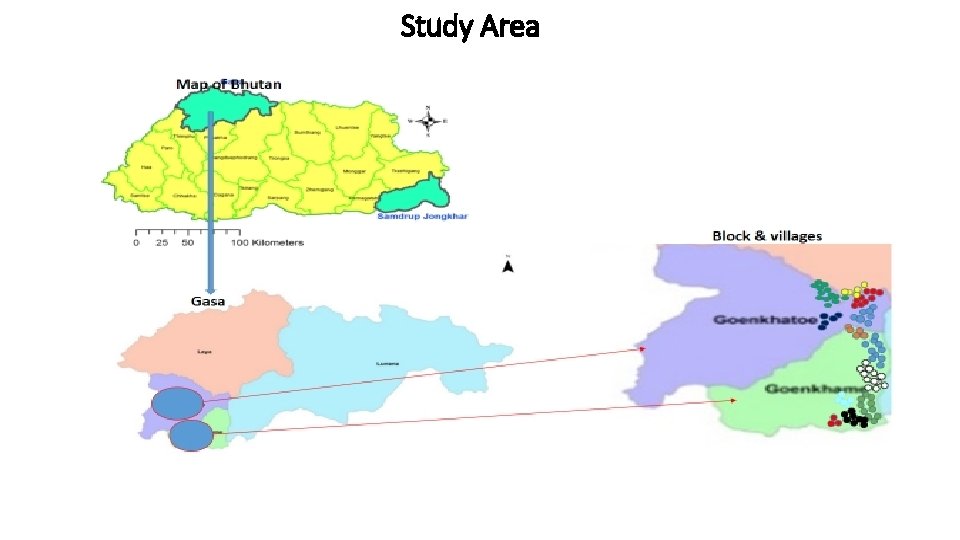 Study Area 