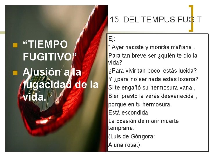 15. DEL TEMPUS FUGIT n n “TIEMPO FUGITIVO” Alusión a la fugacidad de la