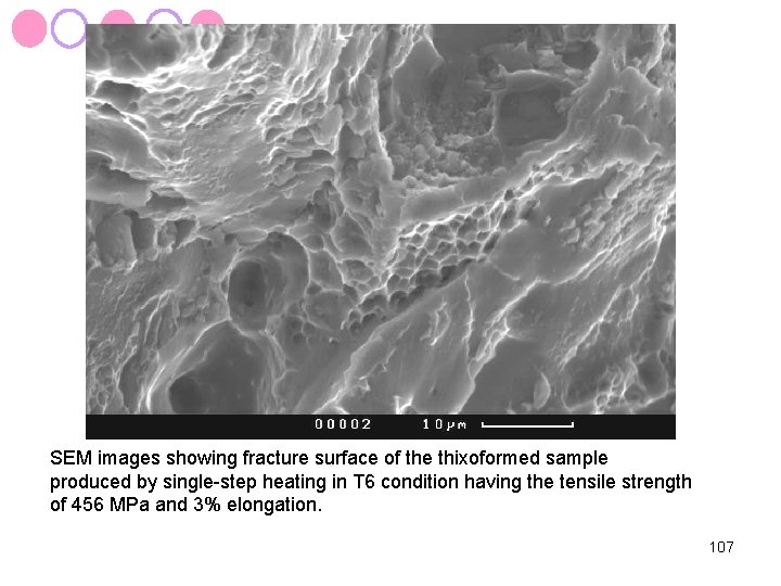 SEM images showing fracture surface of the thixoformed sample produced by single-step heating in