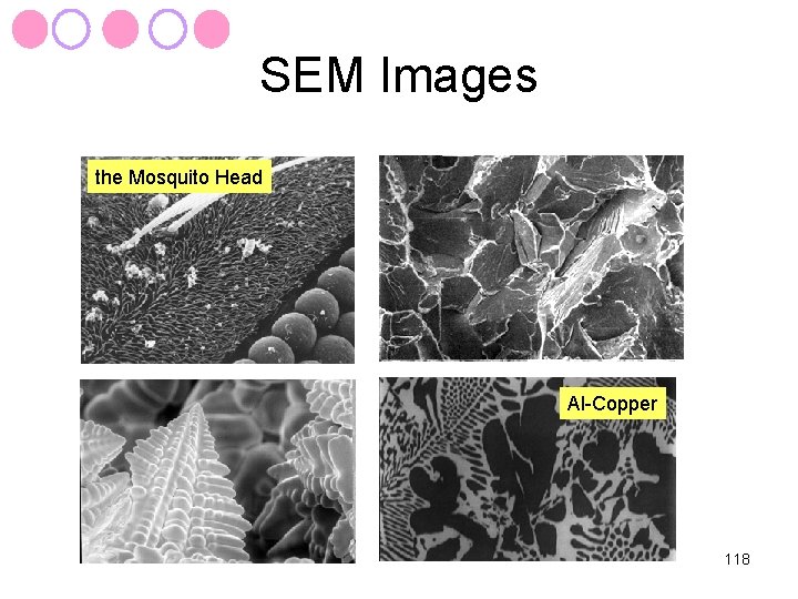 SEM Images the Mosquito Head Al-Copper 118 