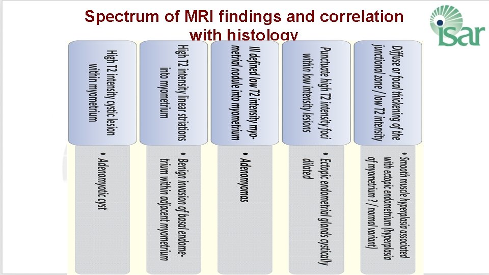 Spectrum of MRI findings and correlation with histology 