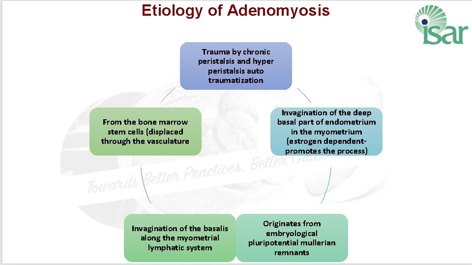 Etiology of Adenomyosis Trauma by chronic peristalsis and hyper peristalsis auto traumatization From the