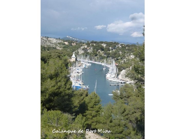 Calanque de Port Miou 