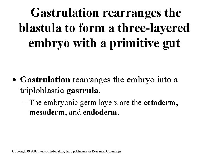 Gastrulation rearranges the blastula to form a three-layered embryo with a primitive gut ·