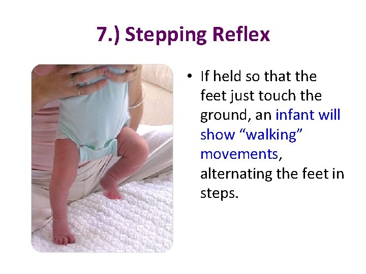 7. ) Stepping Reflex • If held so that the feet just touch the