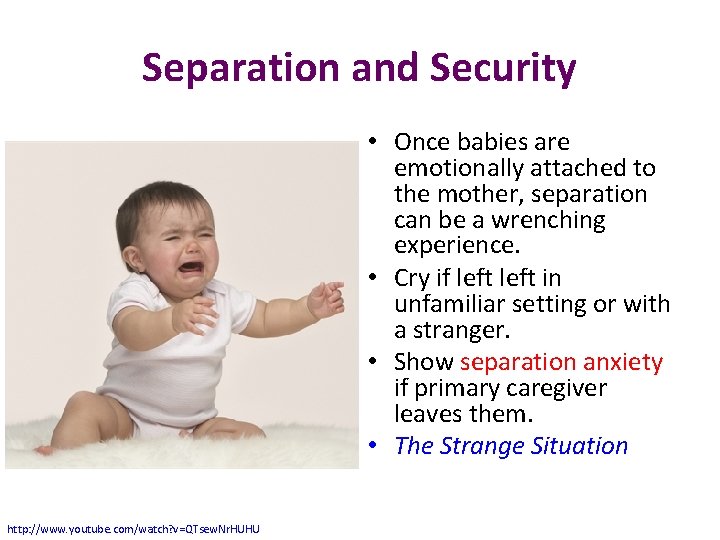 Separation and Security • Once babies are emotionally attached to the mother, separation can