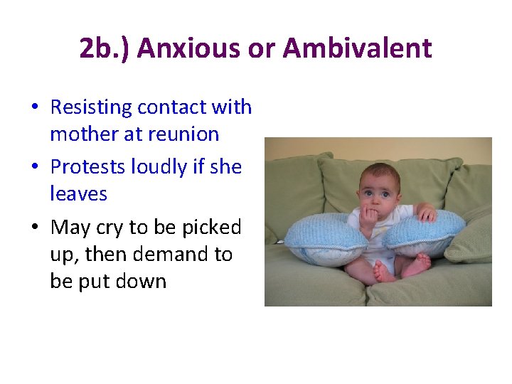 2 b. ) Anxious or Ambivalent • Resisting contact with mother at reunion •