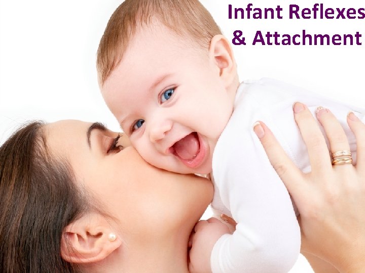 Infant Reflexes & Attachment 