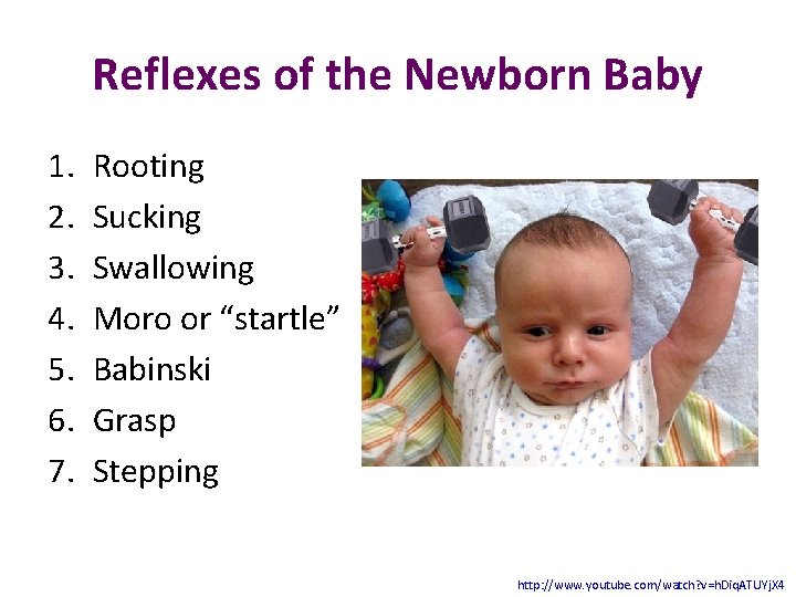 Reflexes of the Newborn Baby 1. 2. 3. 4. 5. 6. 7. Rooting Sucking