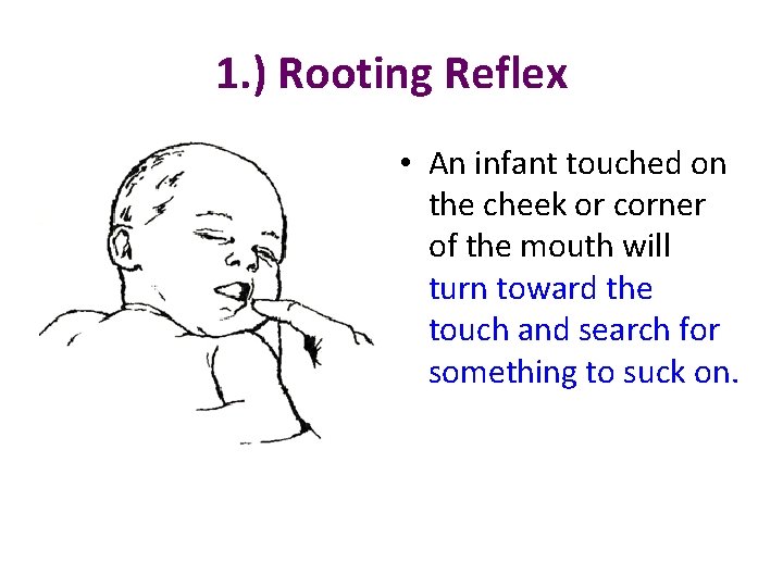 1. ) Rooting Reflex • An infant touched on the cheek or corner of