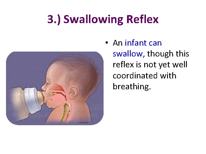 3. ) Swallowing Reflex • An infant can swallow, though this reflex is not