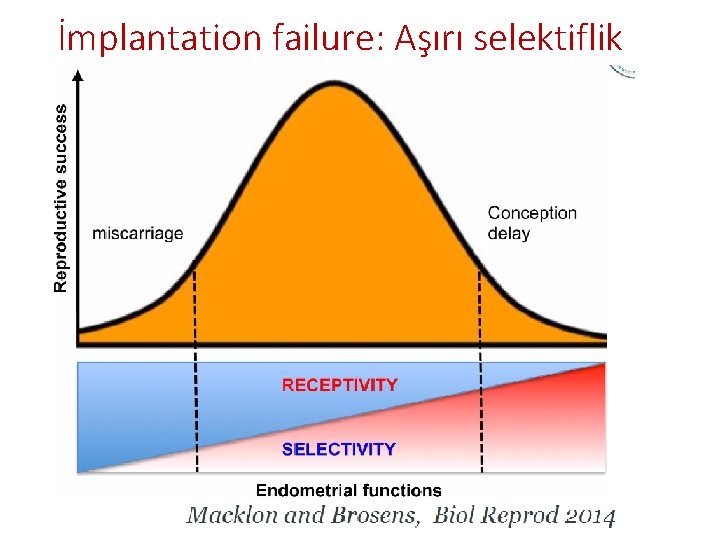 İmplantation failure: Aşırı selektiflik 