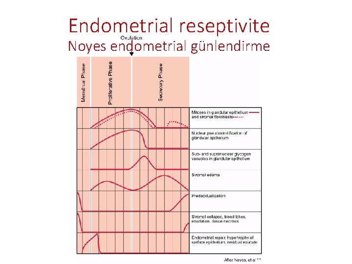 Endometrial reseptivite Noyes endometrial günlendirme 