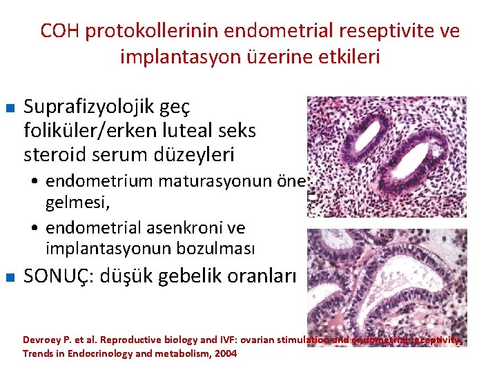 COH protokollerinin endometrial reseptivite ve implantasyon üzerine etkileri n Suprafizyolojik geç foliküler/erken luteal seks