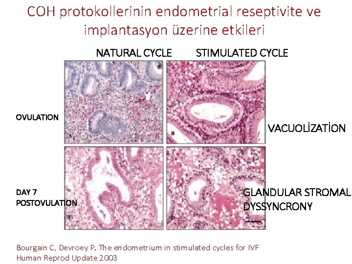 COH protokollerinin endometrial reseptivite ve implantasyon üzerine etkileri NATURAL CYCLE STIMULATED CYCLE OVULATION DAY