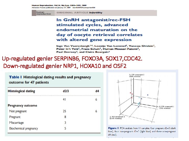 Up-regulated genler SERPINB 6, FOXO 3 A, SOX 17, CDC 42. Down-regulated genler NRP