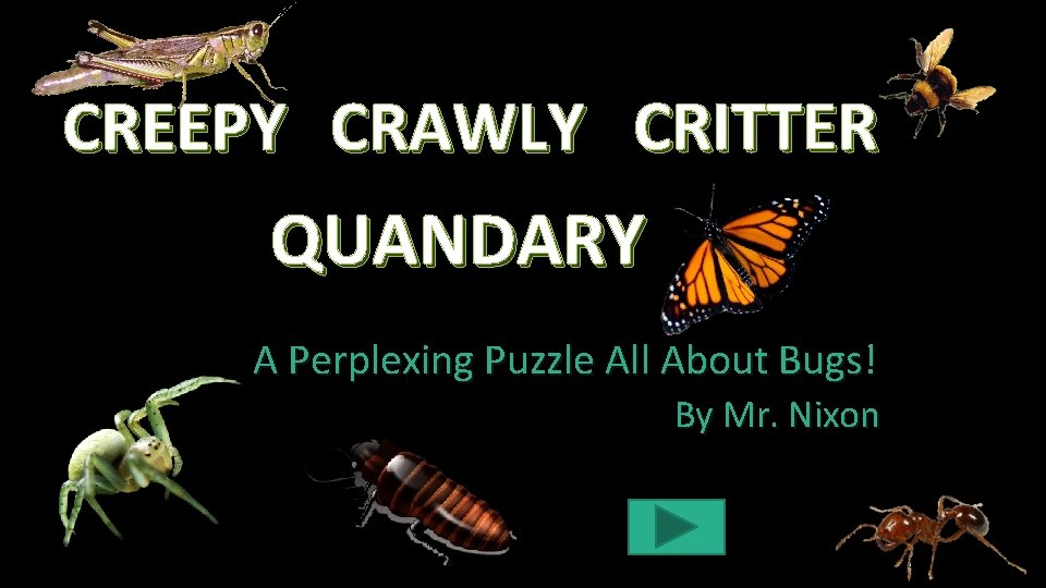 CREEPY CRAWLY CRITTER QUANDARY A Perplexing Puzzle All About Bugs! By Mr. Nixon 